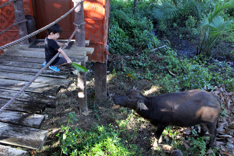 ExploringBoholWithKids-Buffalo