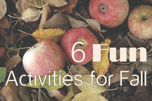 6 Fun Activities for Fall